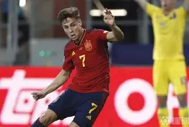体育娱乐平台-关于离谱！曼城内部会议纪要流出——今晨单刀错失风云突变纽卡斯尔今晚外线爆发，塞维利亚伤情更新备战意甲的信息